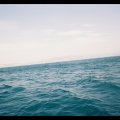 p_0004