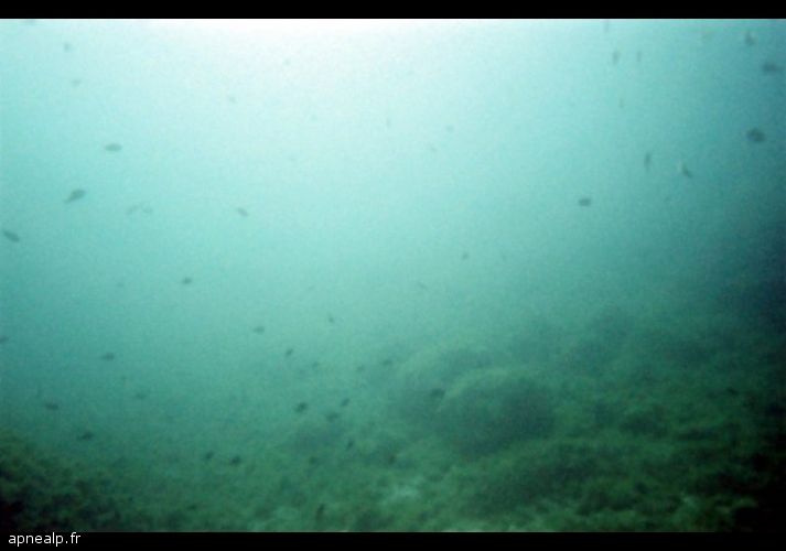 twg_slideshow