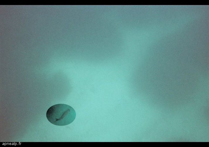 twg_slideshow