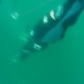 DSCN2186
