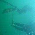 DSCN2190