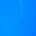 p_0021