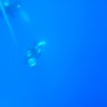 p_0031