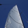 DSC09431