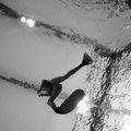 IMG_1749