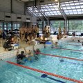 IMG_1988