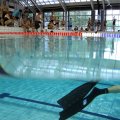 IMG_1990