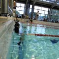 IMG_2011