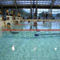 IMG_2012