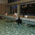 DSC00939