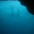 IMG_8142