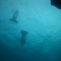 IMG_8143