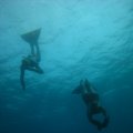 IMG_8144