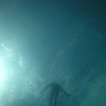 IMG_8159