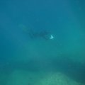 IMG_8171