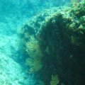 IMG_8180