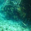 IMG_8181