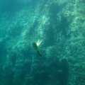 IMG_8193