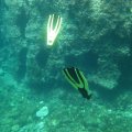 IMG_8194