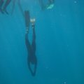 IMG_8206