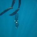 IMG_8222