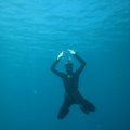 IMG_8225