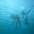 IMG_8227