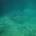 IMG_8272