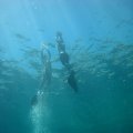 IMG_8290