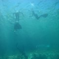IMG_8294