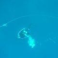 Photo 23-09-12 12 55 33
