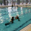 20140624_205202