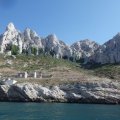 Jour 1 Baie des singes (15)