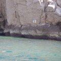 Jour 1 Baie des singes (16)