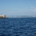 Jour 1 Baie des singes (20)