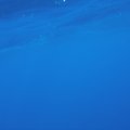 PA050068
