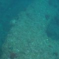 PA050094
