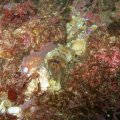 PA050104