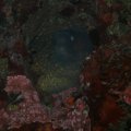 PA050122
