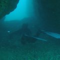 PA050133