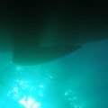 PA190172