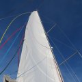 IMG_5446