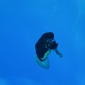 IMG_3263
