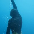 IMG_5145