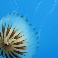 IMG_5206