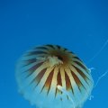 IMG_5208