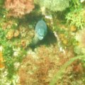 P6040020