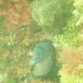 P6040024
