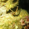 P6050046