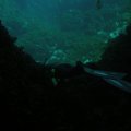 P6050068